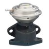 FISPA 83.685 EGR Valve